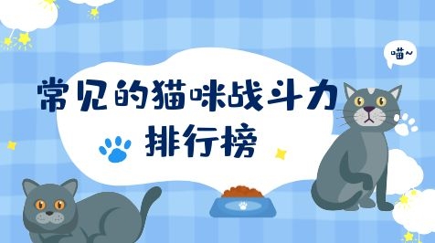 猫咪排行榜.jpg